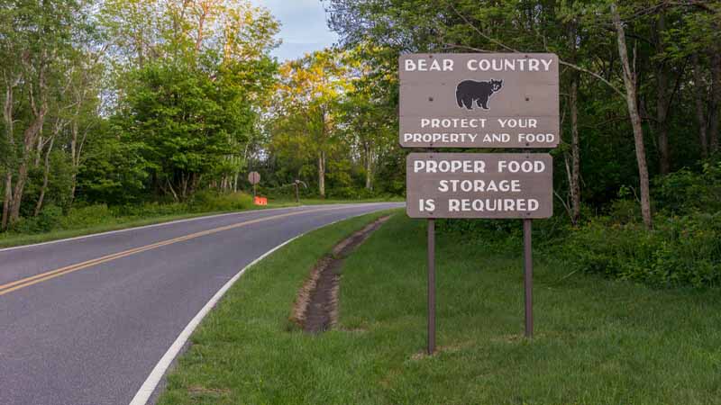 are soft sided campers safe from bears